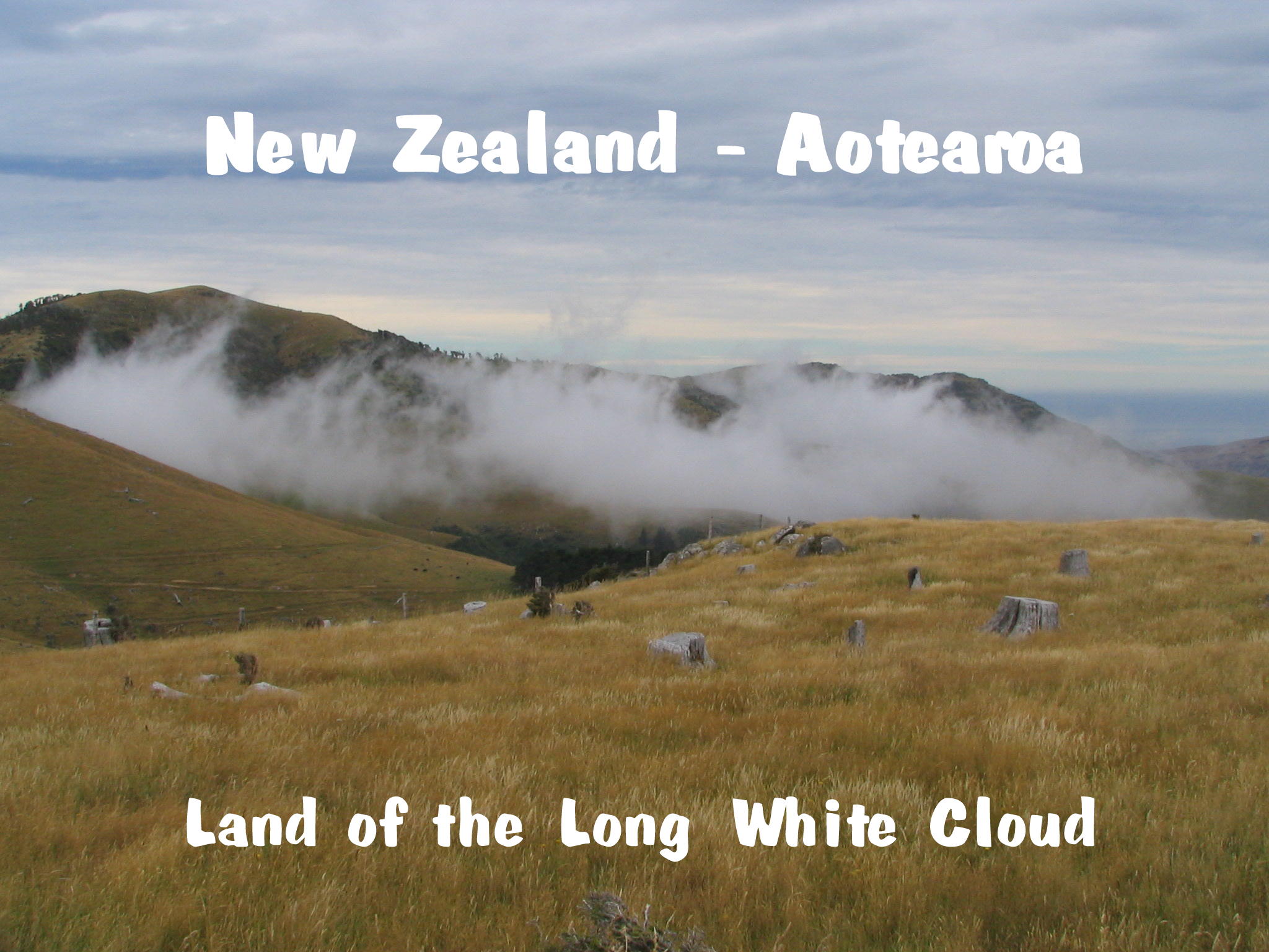 New Zealand 2006
